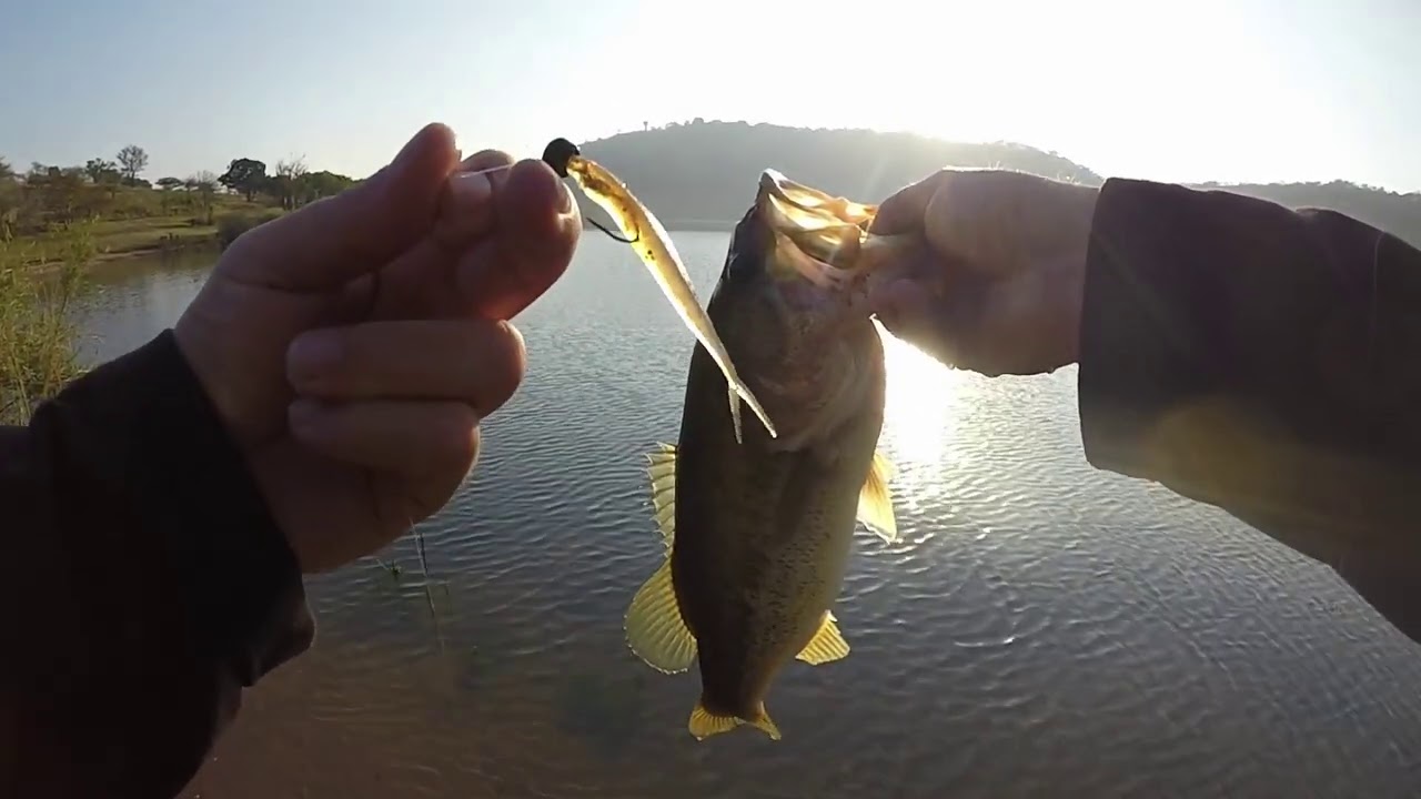 Hazelmere Dam Bass fishing