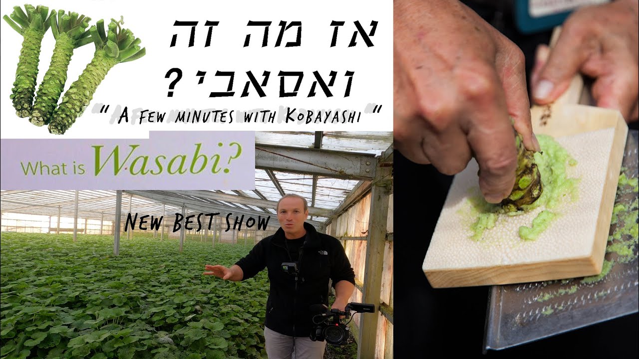 Must WATCH on Youtube the Largest Daio Wasabi farm in Japan / Would   כל מה  שרצית לדעת על ואסאבי