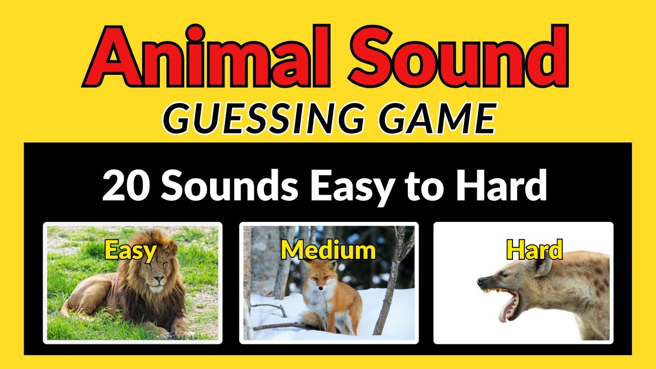 Guess the Animal Sound Quiz | 20 Levels: Easy to Extreme!