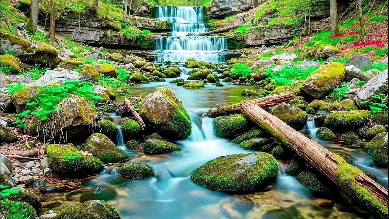 Calming River Sound for Deep Sleep | Natural Healing Ambience for Health and Peace