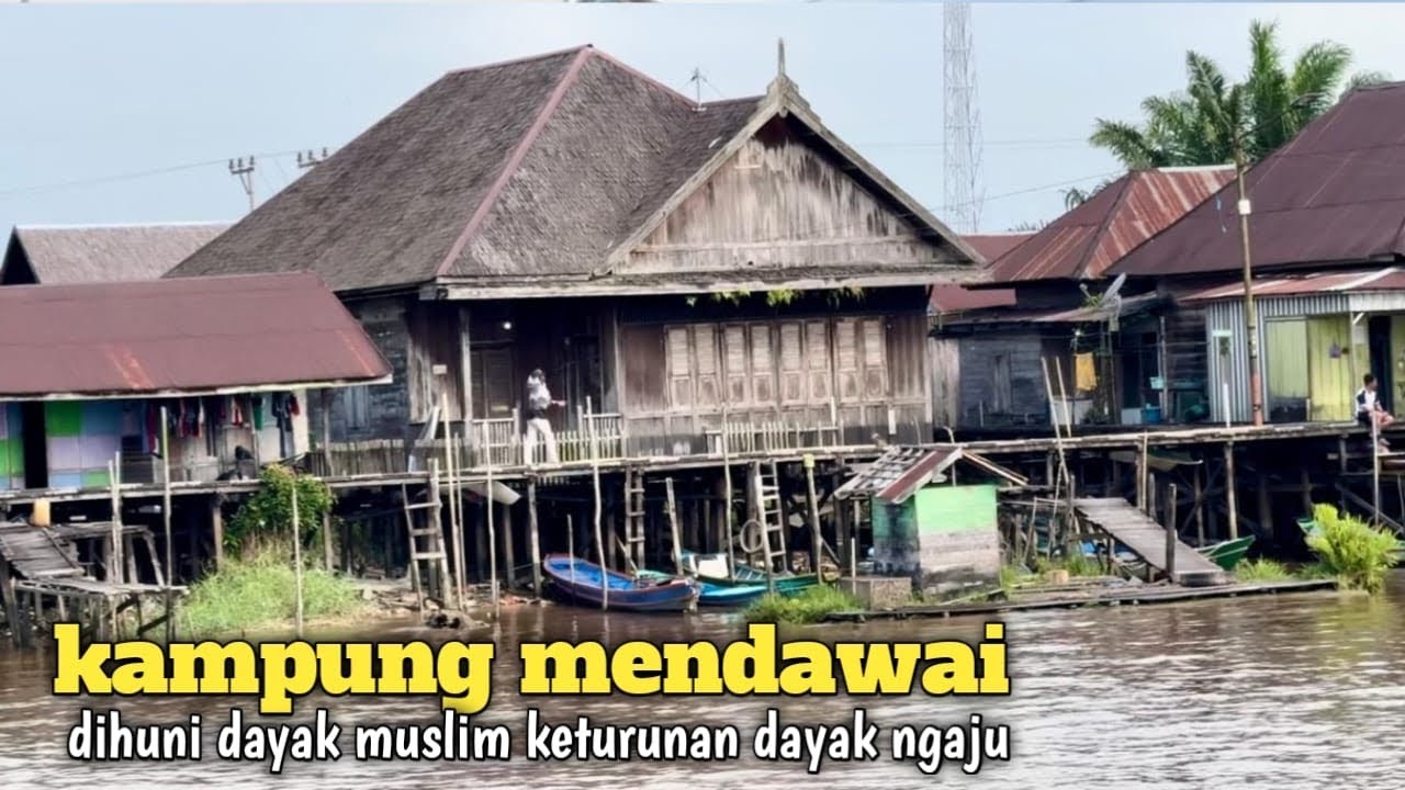 Kampung tua mendawai dipinggiran sungai arut yang banyak buayanya