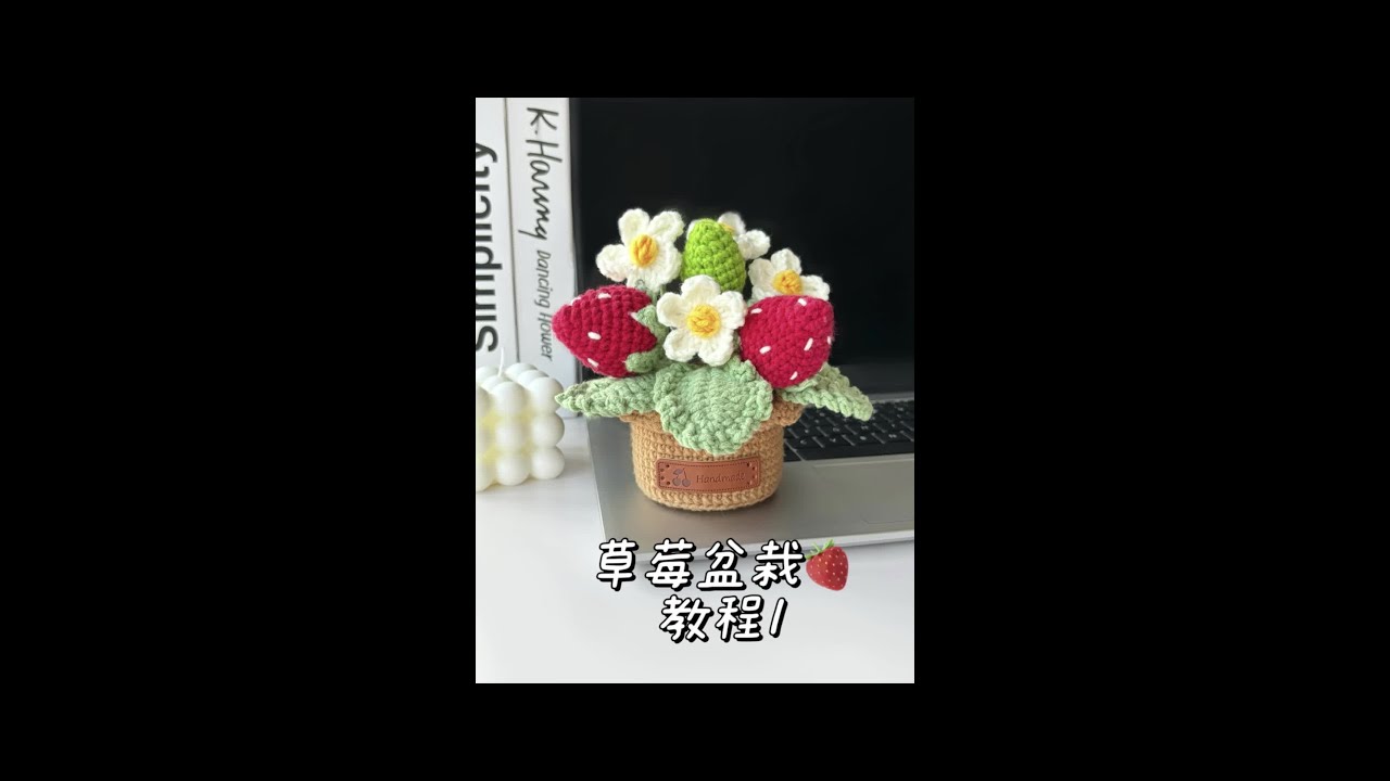 草莓盆栽钩织教程来啦！新手零基础详细毛线DIY钩织教学！#手工编织零基础教学 #做手工我是认真的 #钩针教程 #手工diy #玩毛线