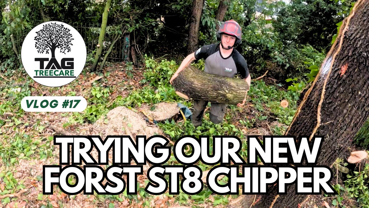 Putting Our ST8 Through Its Paces! 🪵  | TAG Tree Care 🌳