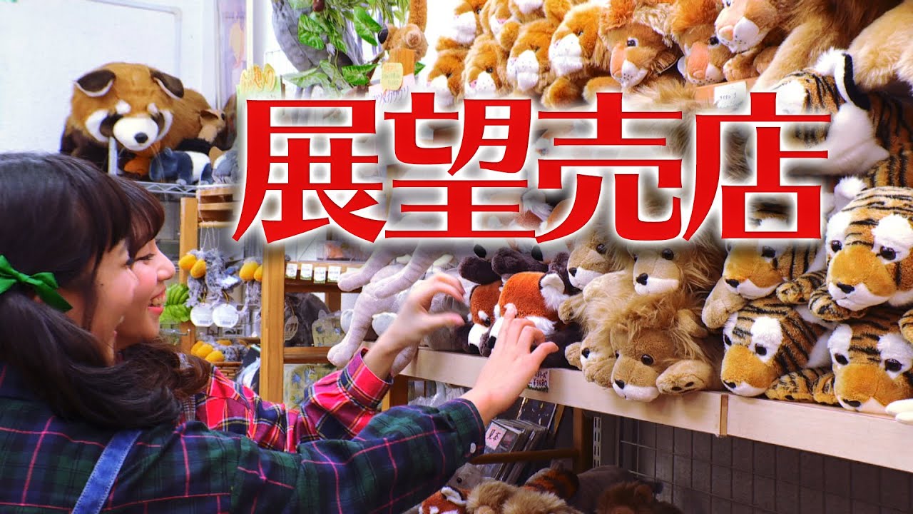 展望デッキ売店　動物オリジナルグッズがいっぱい