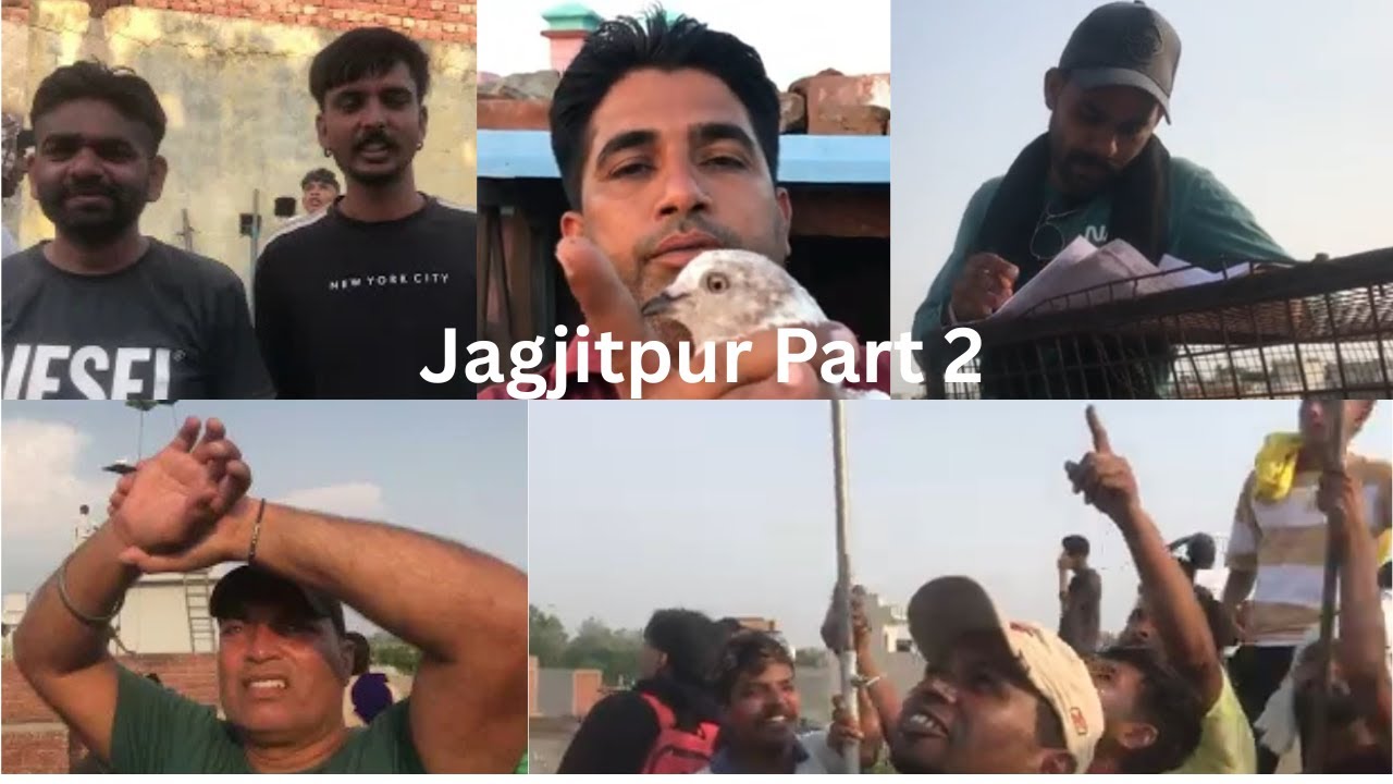 Kabootar Bazi Jagjitpur – Day 1 Part 2 | Race Still On!
