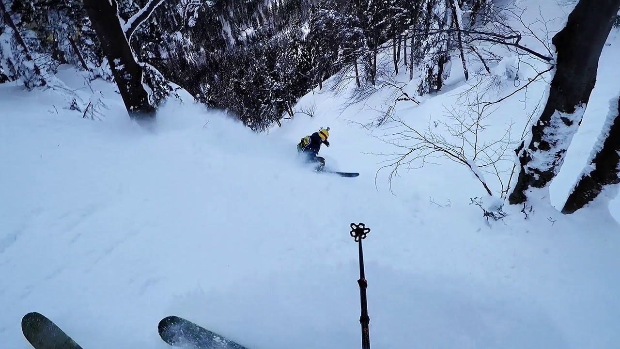 D+1 Lackenhof Freeski 2019