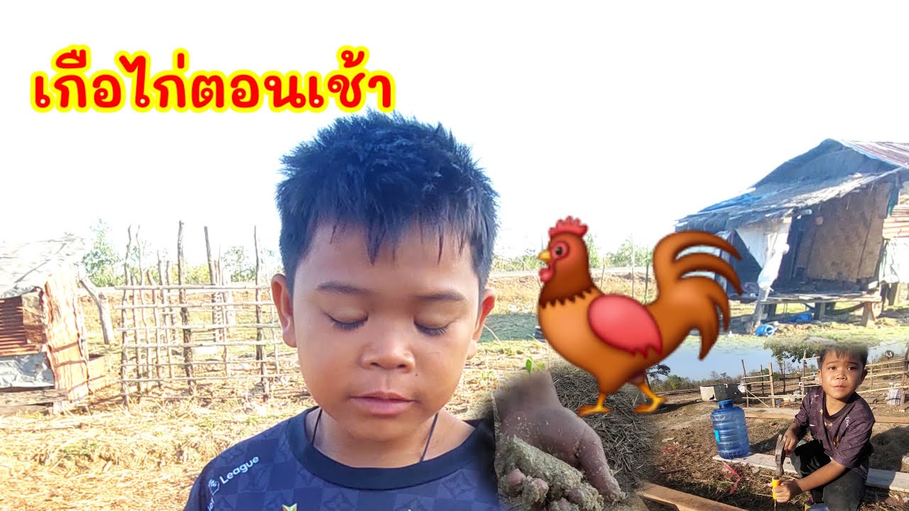 ตอนเช้าเกือไก่สายฟ้าเยอะมาก🐓🐔 #บ่าวบ่างbangchannel 