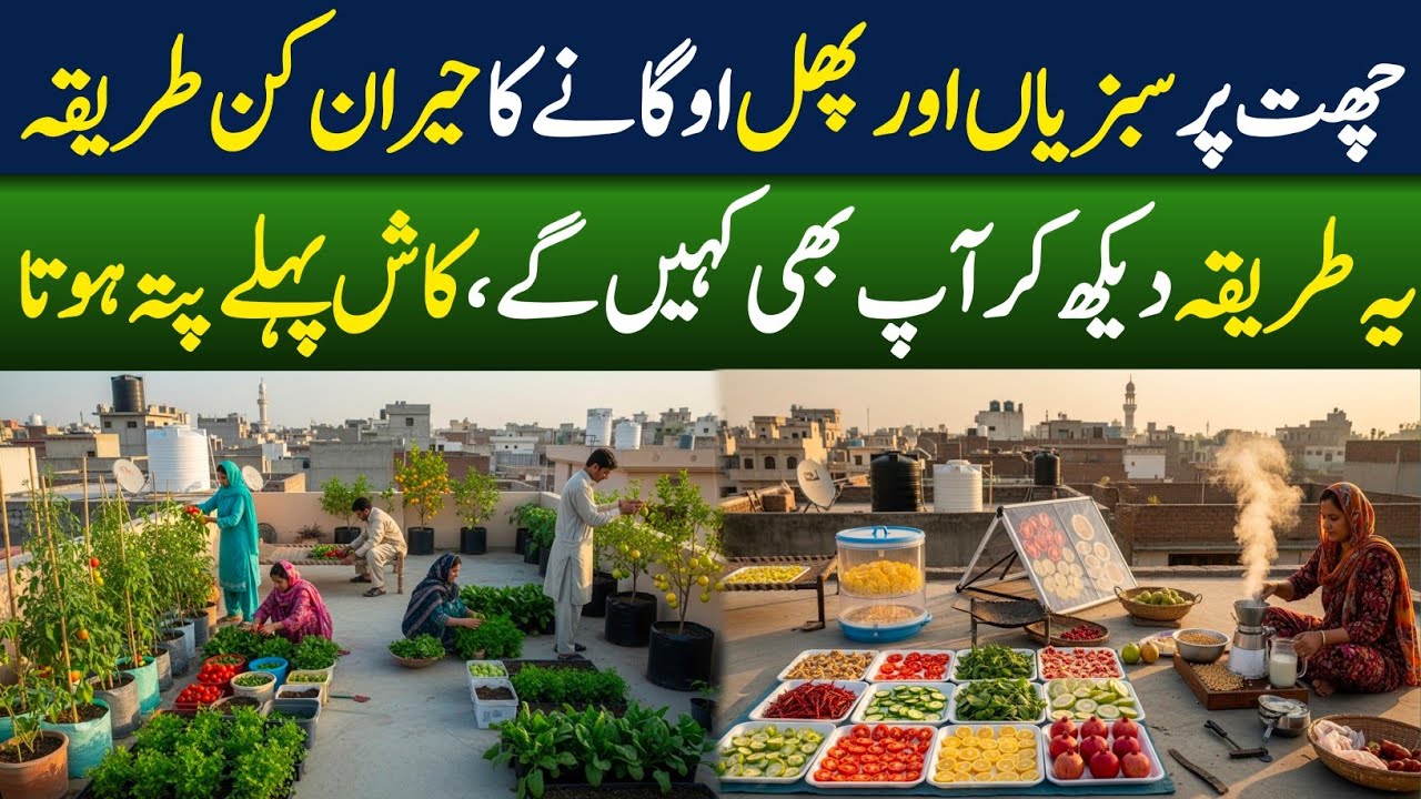 Traditional Rooftop Food & Fruits Drying in Pakistan  Solar Dryer & Soya Milk Process