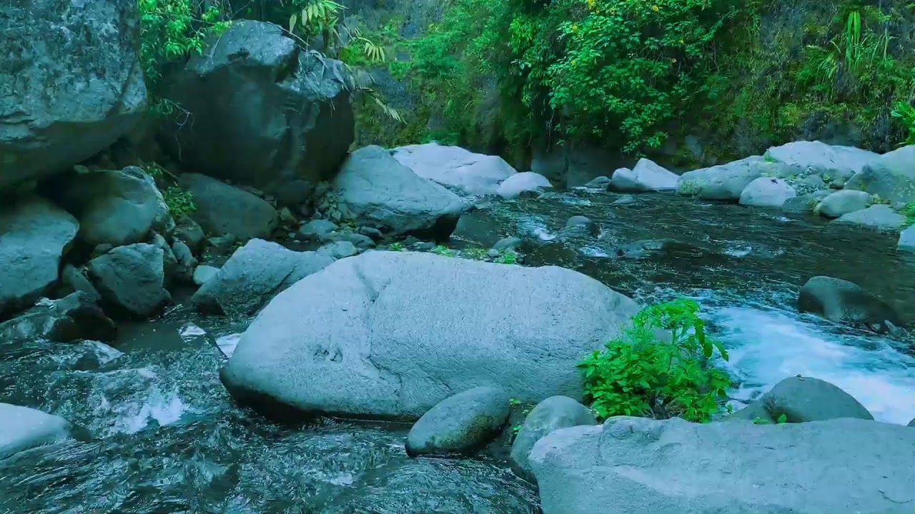 Comforting Gentle River Background Noise | For Instant Sleep, Deep Relaxation & Body Restoration