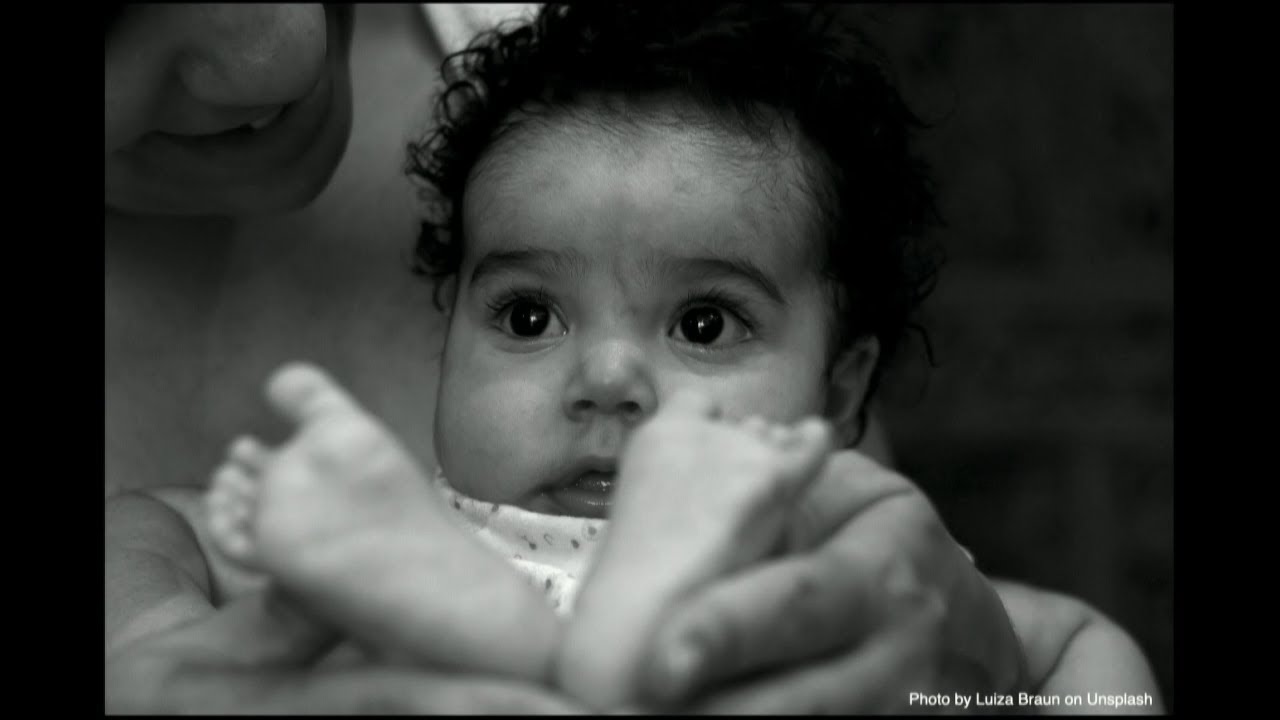 How babies respond to danger | Shari Liu | TEDxMIT