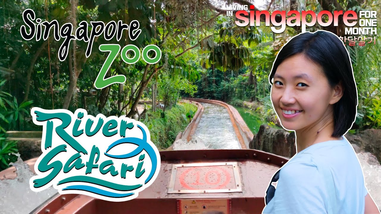 Singapore #Zoo River #Safari 🐊#Amazon River Quest | Tour + Review 2020 4k