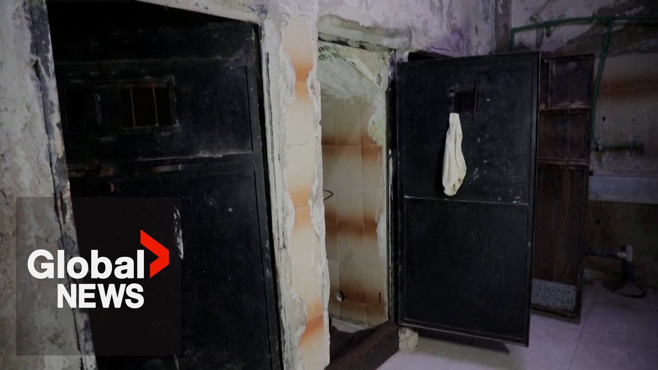 Freed Syrian inmates describe torture faced in al-Assad's prisons