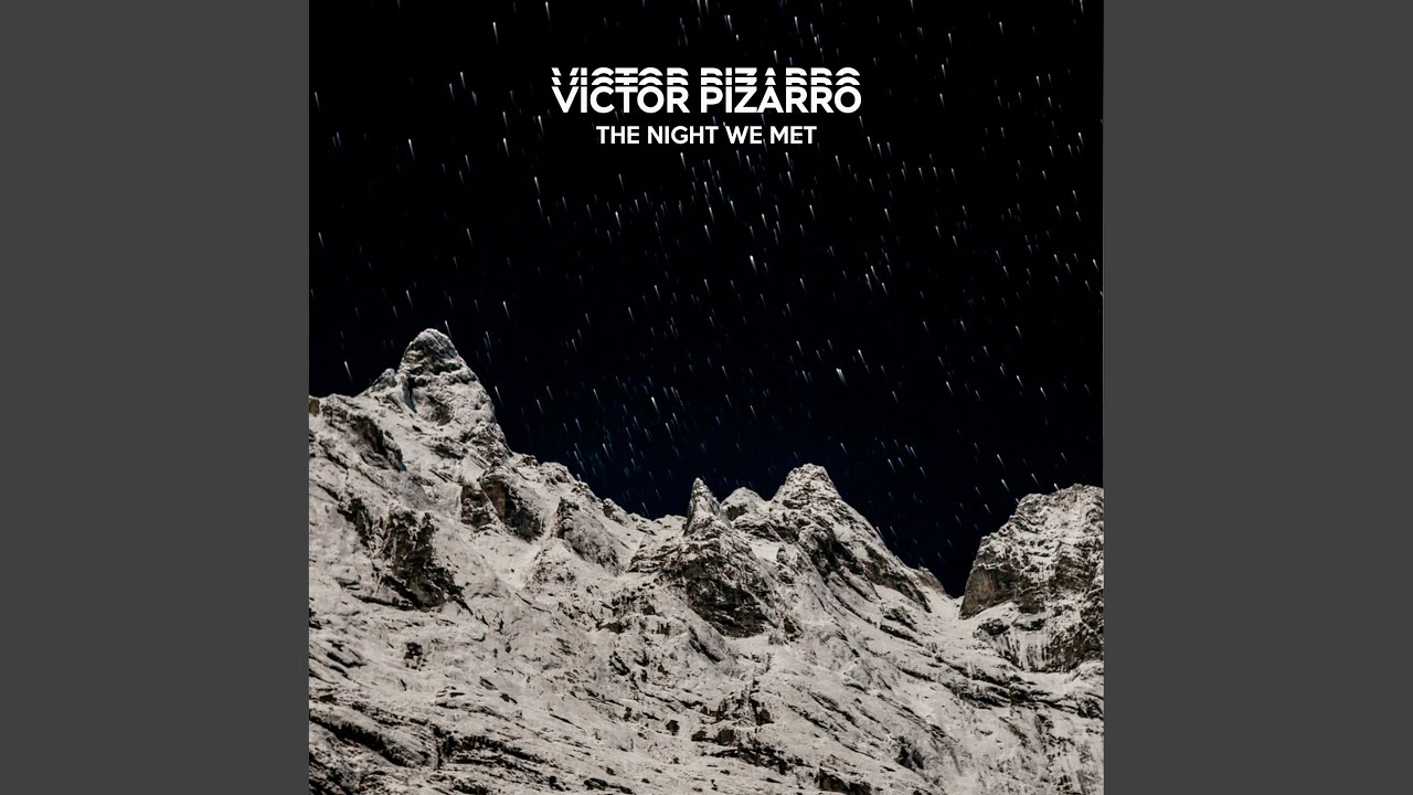 The Night We Met