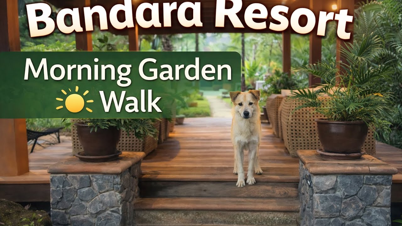 Peaceful Walk Through Bandara Resort Koh Samui 🌴 | Nature & Bird Sounds   SD 480p