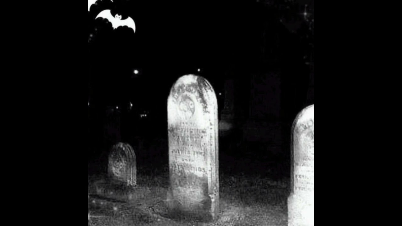 dollreal - party at the graveyard w/ p6inkillr + z4y4 (z4y4)