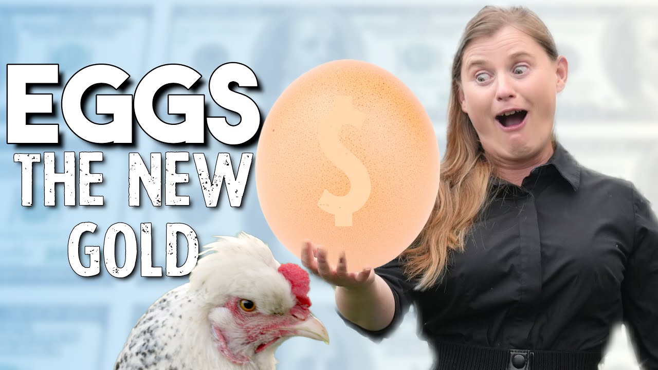 What's Going on With the Egg Price Crisis?!