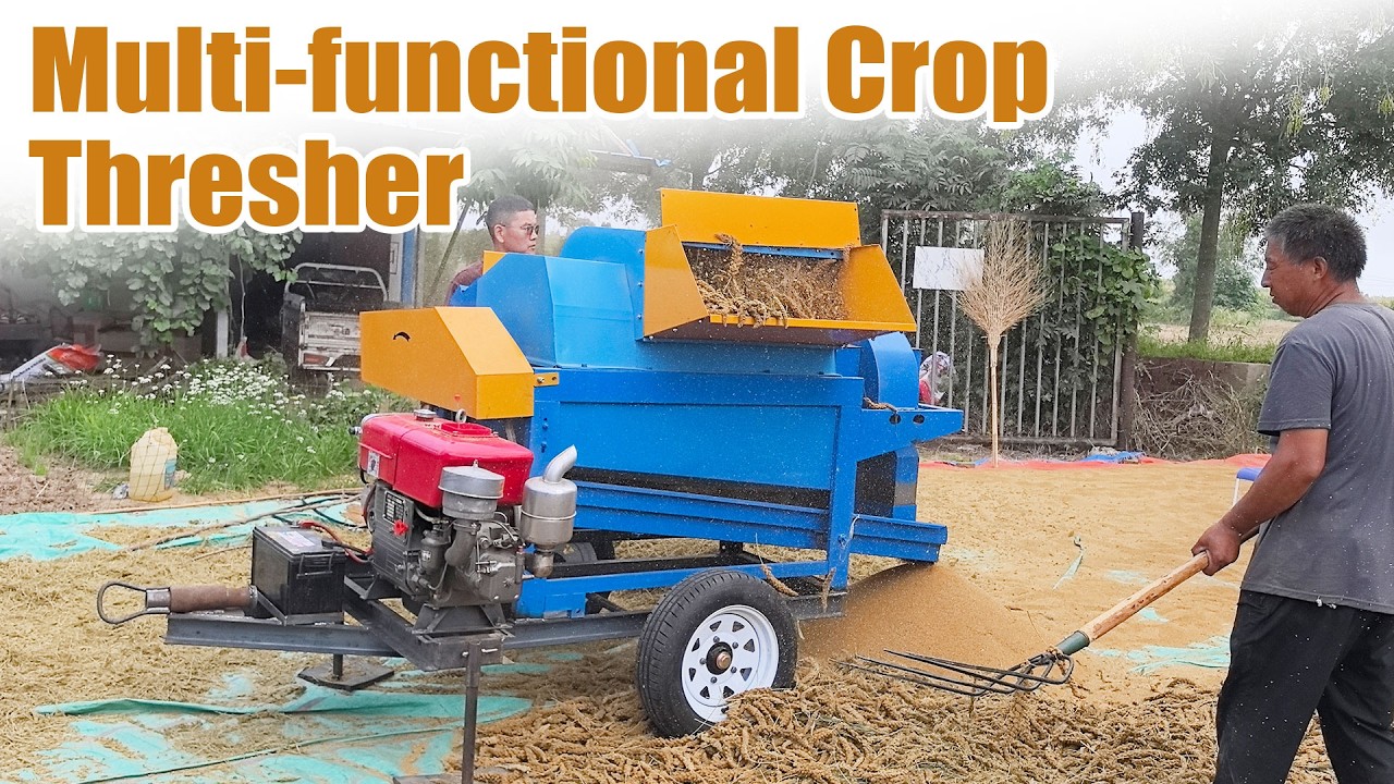 Multi-Function Crop Thresher Machine | High Efficiency Grain Processing Solution 🌾🚜#thresher