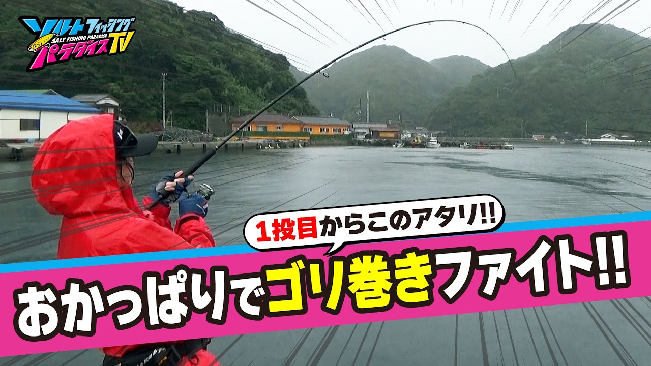 雨の日は超夜光、一択！？宇和海でライトショアジギング！（ソルパラTV・2025年10月24日公開）