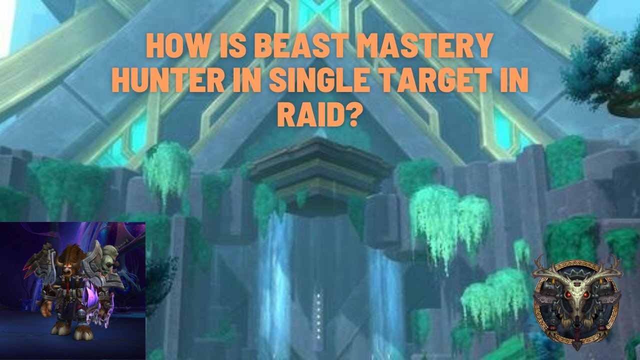 How Is Beast Mastery Hunter Single Target In Raid? 9.2 WoW Shadowlands