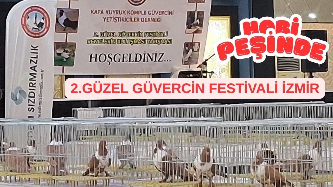 2. GÜZEL GÜVERCİN FESTİVALİ İZMİR