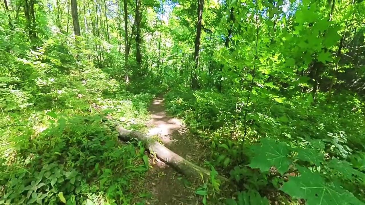 Muntii Macinului - Nifon, Traseul Dealul cu Drum pe bicicleta (10.05.2024)