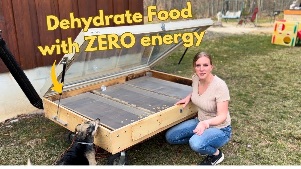 Sustainable homesteading: Our DIY Solar Food Dehydrator  FULL Build!