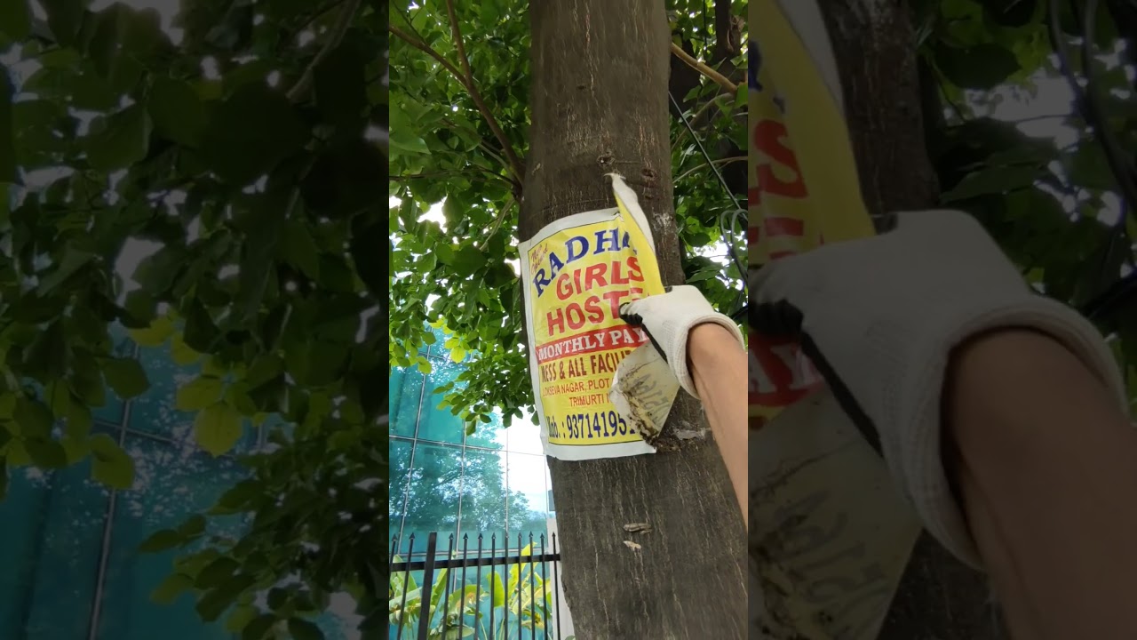 cleanliness campaign | drive no. 236 | IT park,nagpur #cleaning #cleanindiagreenindia #clean #bharat