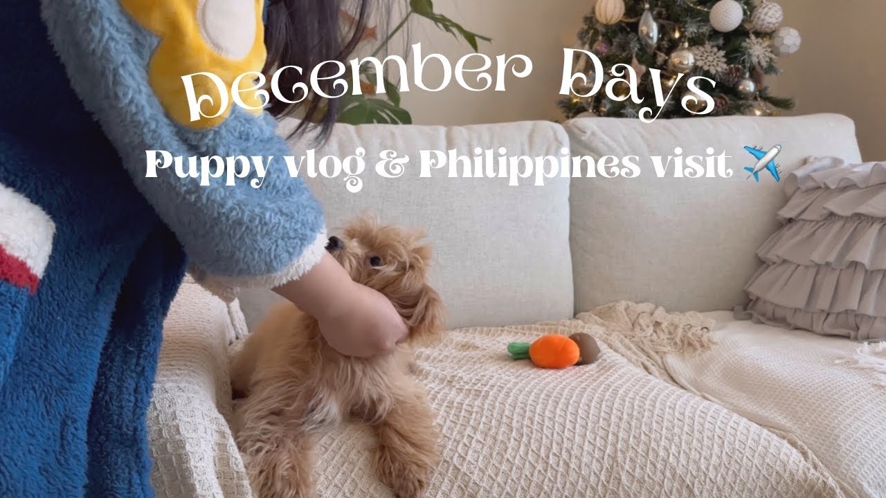 December Days 🎄Puppy Vlog 🧸 and Philippines visit ✈️
