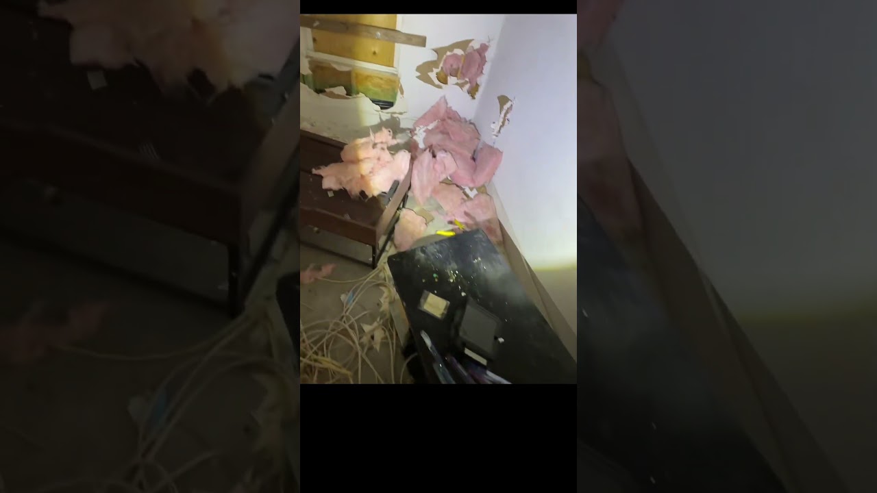 Полагаю, мне придётся начинать всё сначала.