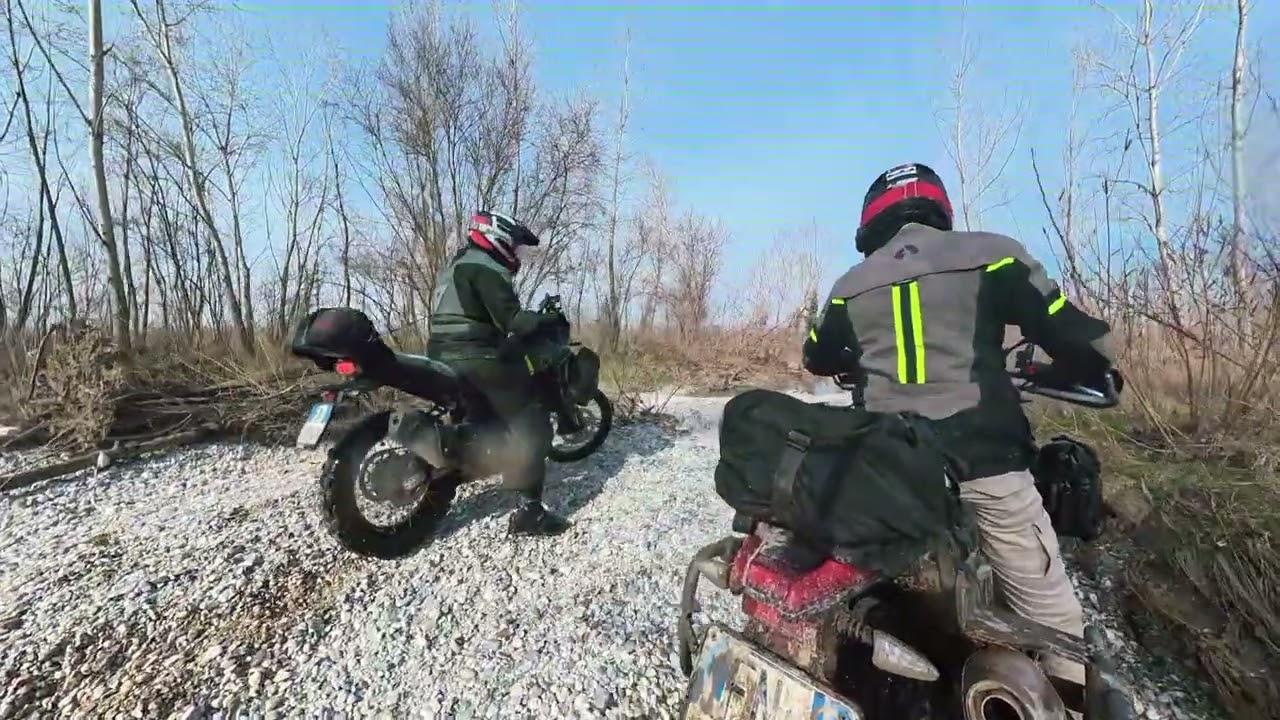 SALVO