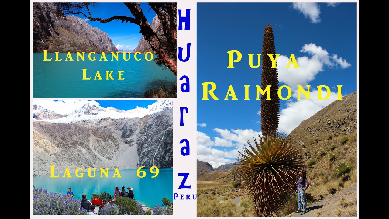 🇵🇪 4k |Huaraz, Peru | Puya Raimondii | Pastoruri Glacier |Llanganuko Lake | Laguna 69