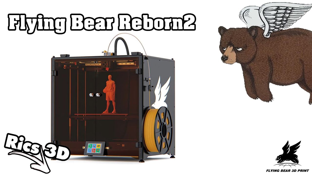 Flying Baer Reborn2 Testdruck (ohne Kommentar) // Rics_3D