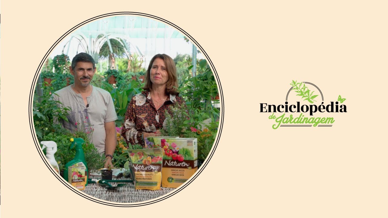 Criar uma Horta Biológica: Enciclopédia de Jardinagem #9