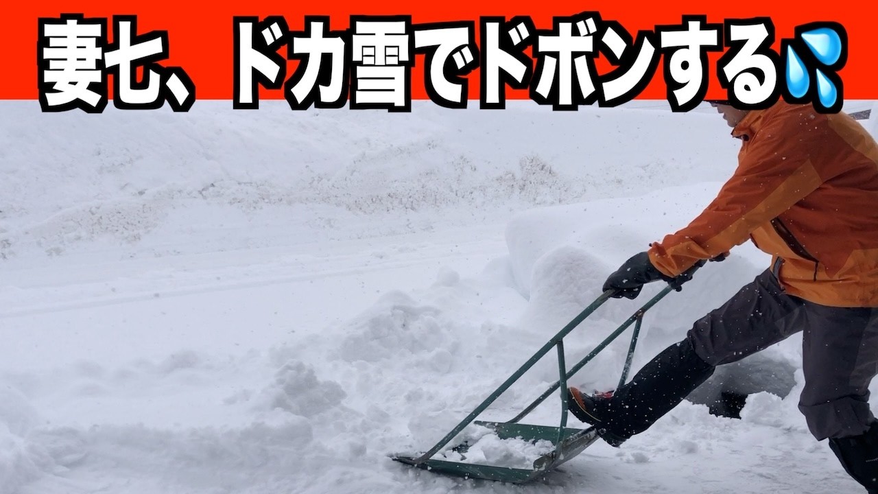 【ドボン】2026-01-23（金）ドカ雪だから妻七がドボン！　武七、妻七の除雪・雪かき日記　snow removal ASMR
