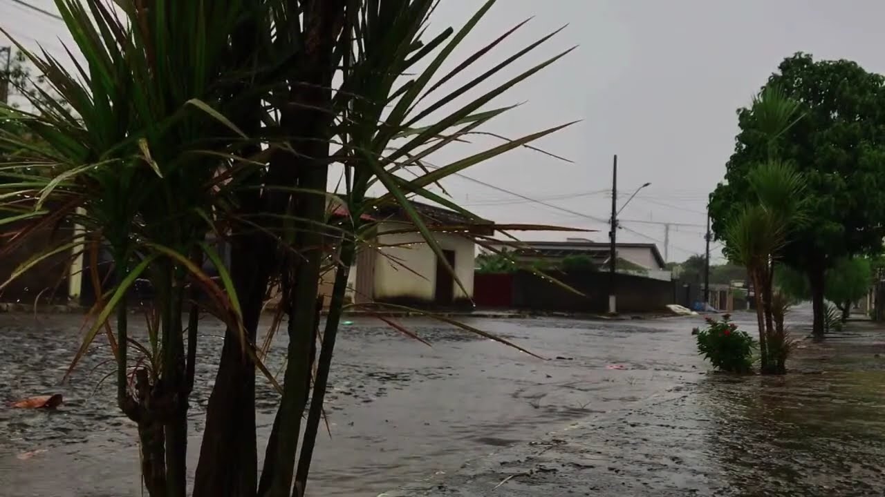 Stop Overthinking Tonight with Heavy Rain and Thunder on the Street During the Storm