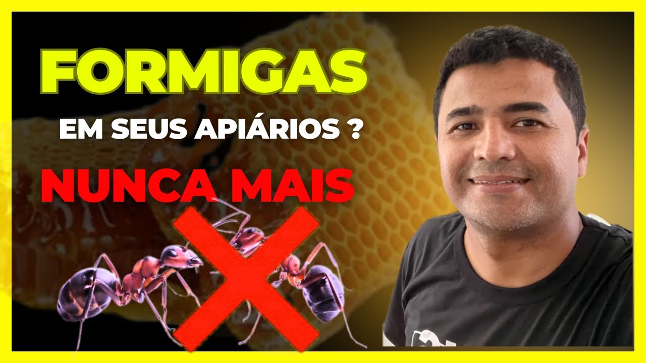 Como Exterminar Formigas dos Api&aacute;rios Definitivamente.