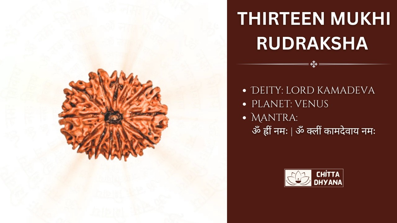 13 Mukhi Rudraksha Mantra Japa | ॐ ह्रीं नमः | ॐ क्लीं कामदेवाय नमः | Venus Remedy | Chitta Dhyana
