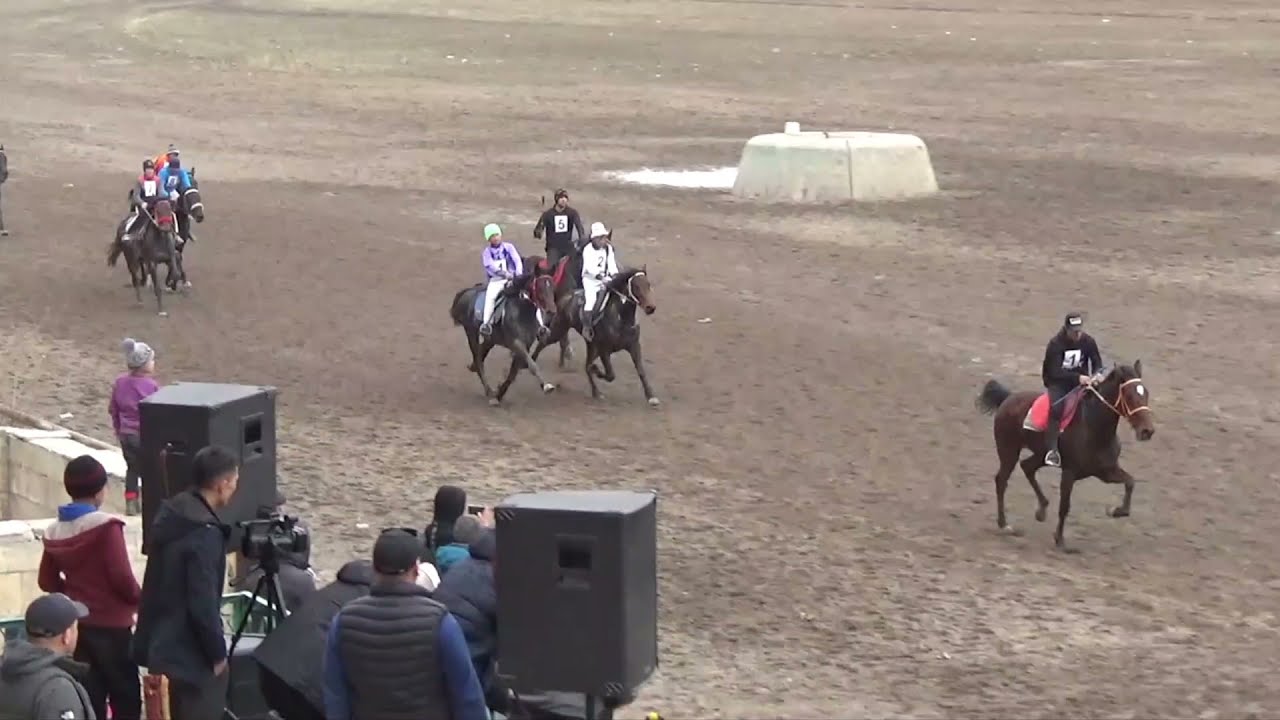 Жорго салыш 25 11 2021 Бишкек