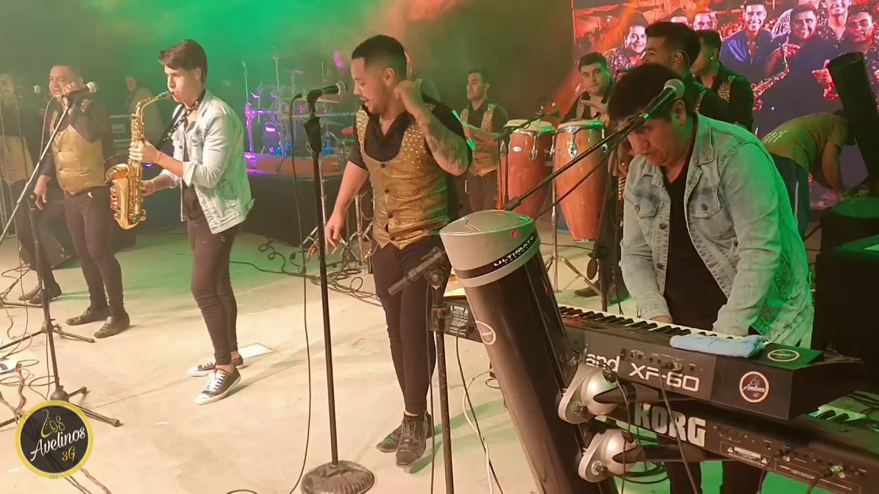LOS AVELINOS 3G - En Vivo SEOC 2019