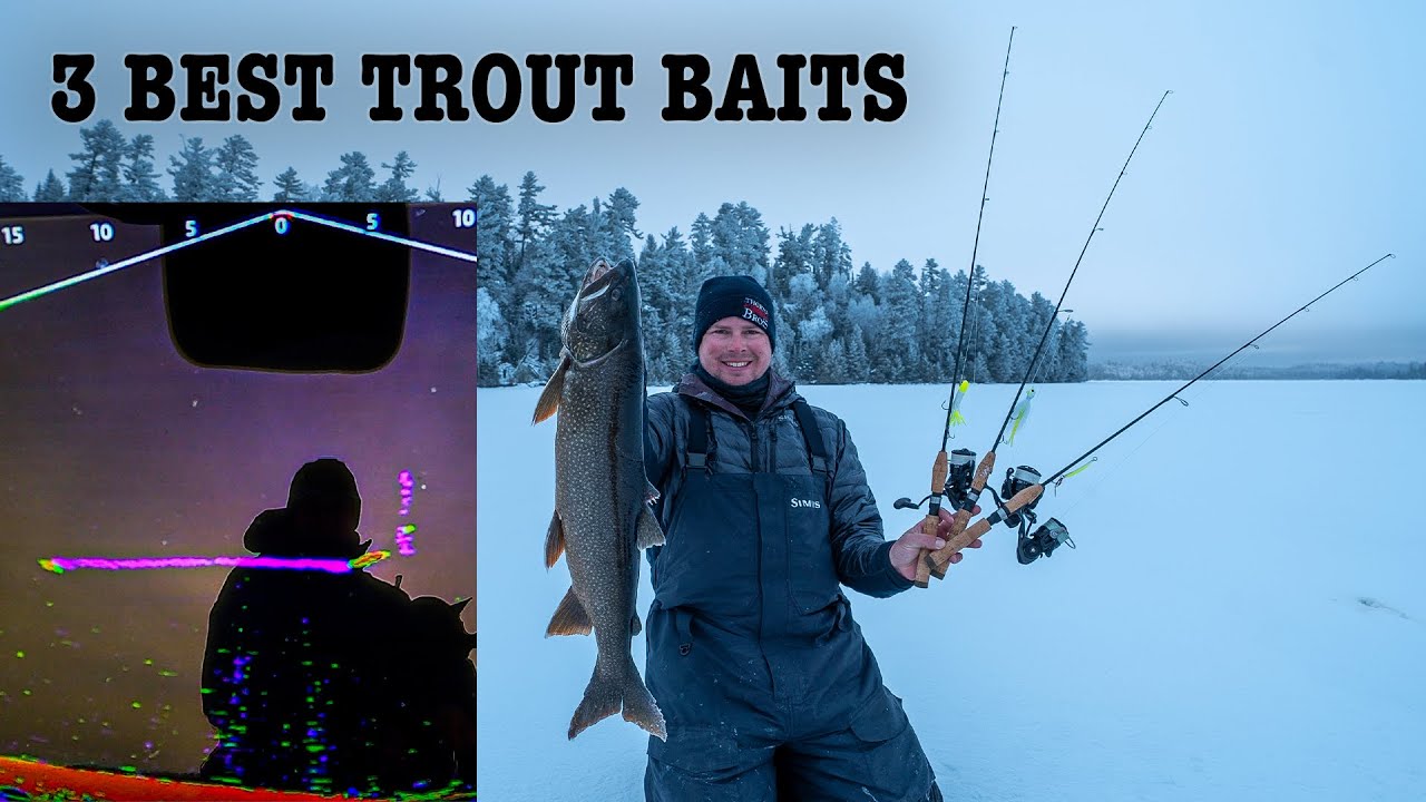 3 BEST LAKE TROUT BAITS! (MEGA LIVE REACTIONS)
