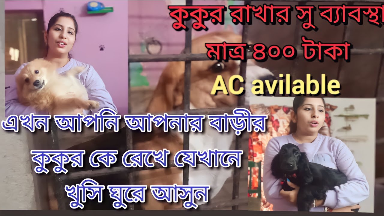 Best dog creche in kolkata ||শুধু মাত্র ৪০০ টাকা তে কুকুর জমা রাখার সু ব্যাবস্থা।Dog creche kolkata