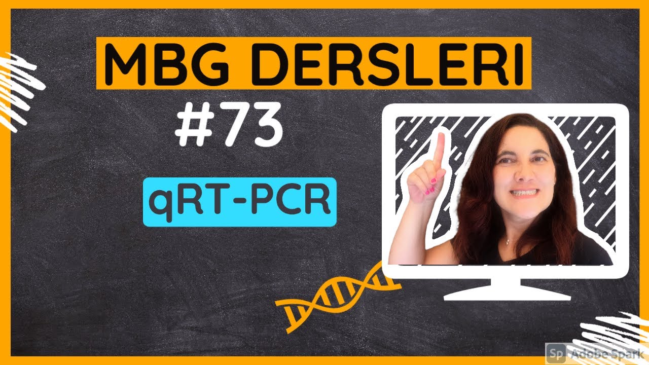 #73: qRT-PCR; Moleküler Biyoloji ve Genetik Dersleri