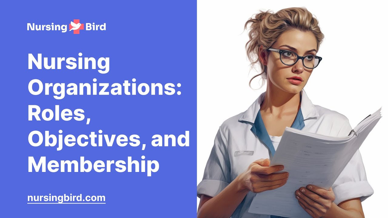 Nursing Organizations: Roles, Objectives, and Membership - Essay Example