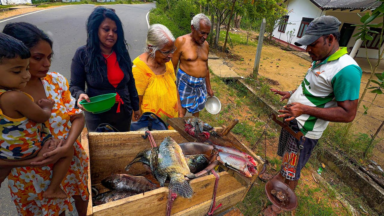 Beautiful! Around the Village Bike Fish Cutting Show Skills in Sri Lanka