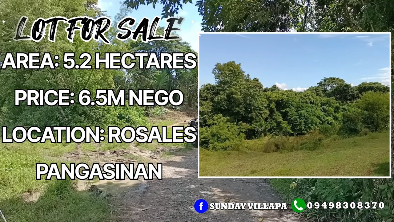 V#43 | 5.2 HECTARES, LOT FOR SALE, PRICE 6.5M NEGO, LOCATION ROSALES PANGASINAN