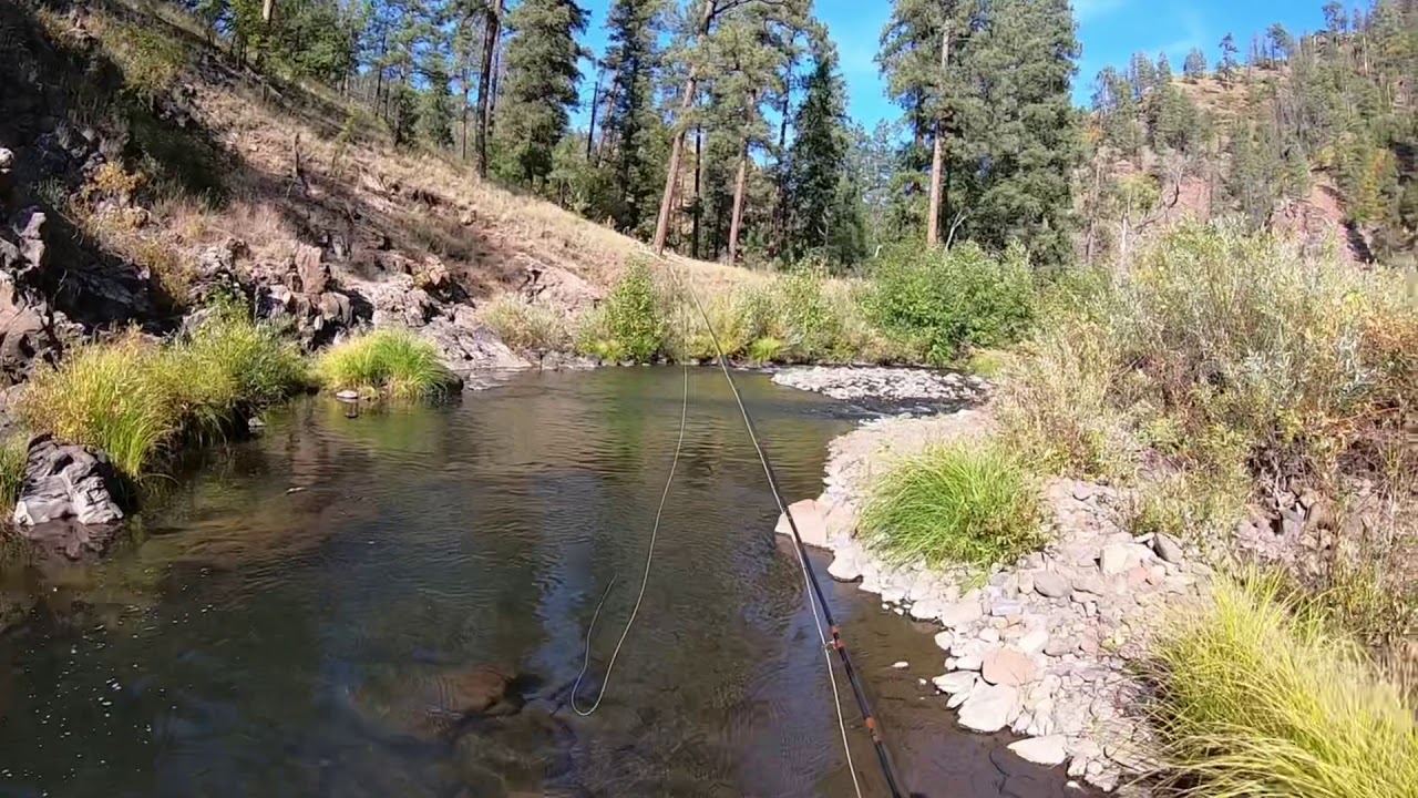 Fly fishing the White Mountains in Arizona