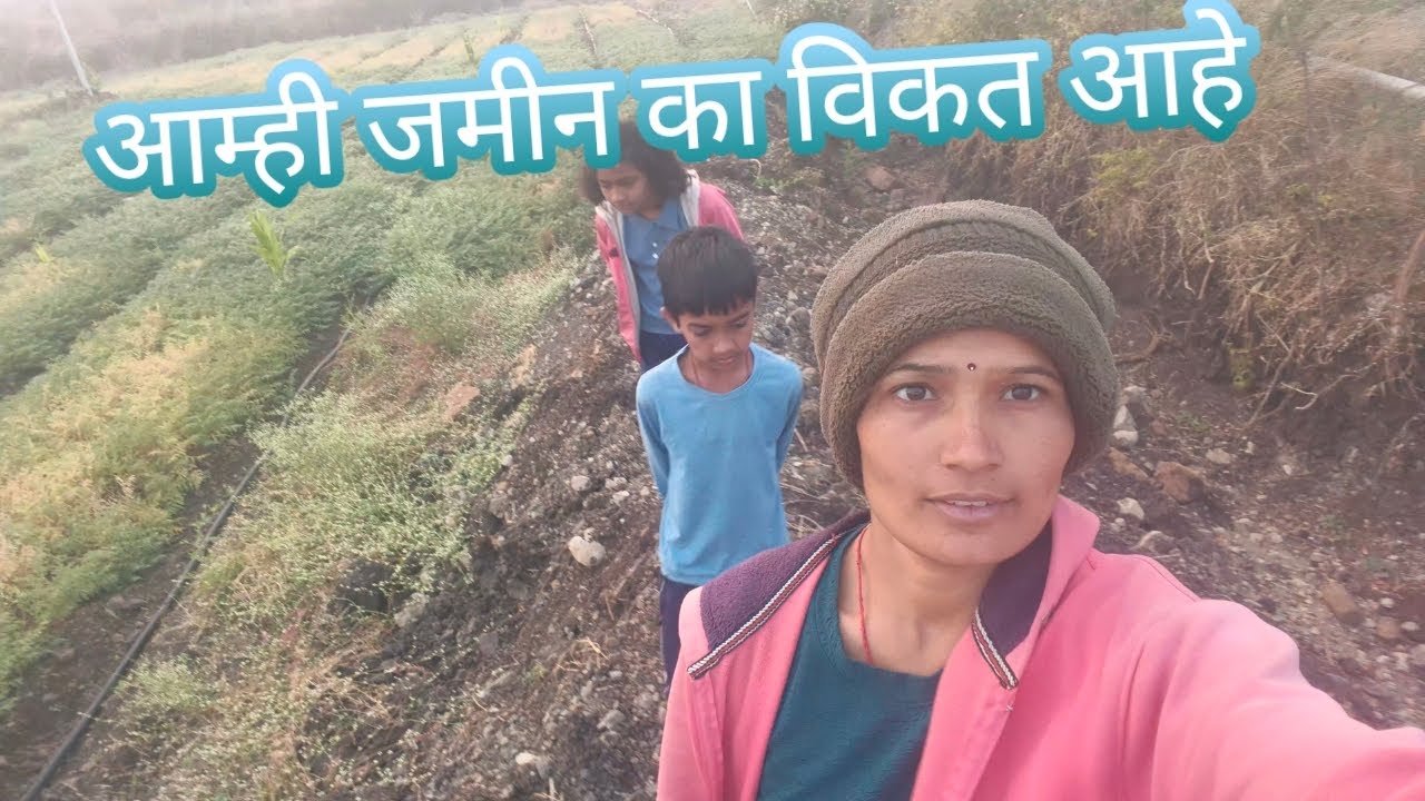 आम्ही जमीन का विकत आहे. सकाळ सकाळ पपईला पाणी द्यायला आले