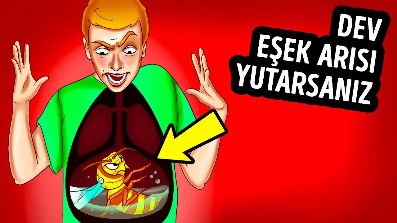 Bir Eşek Arısını Yutarsanız ve Sizi Sokarsa Ne Olur
