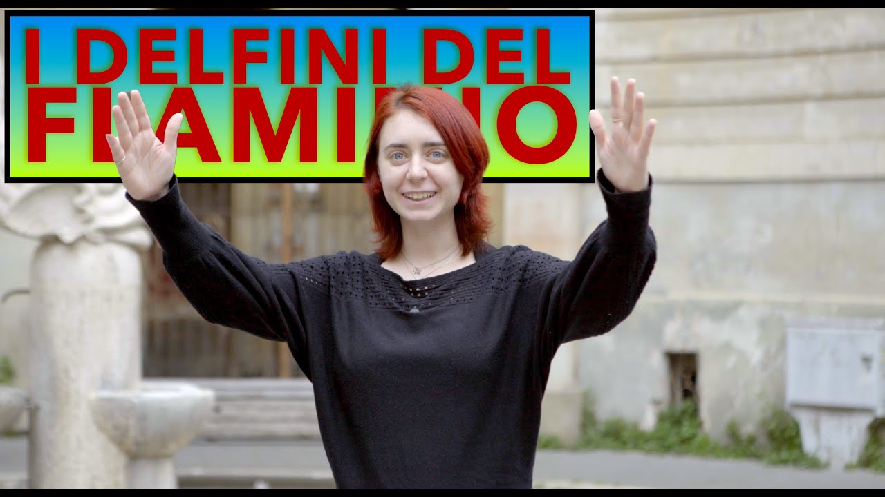 Quartieri di Roma: I Flaminio.