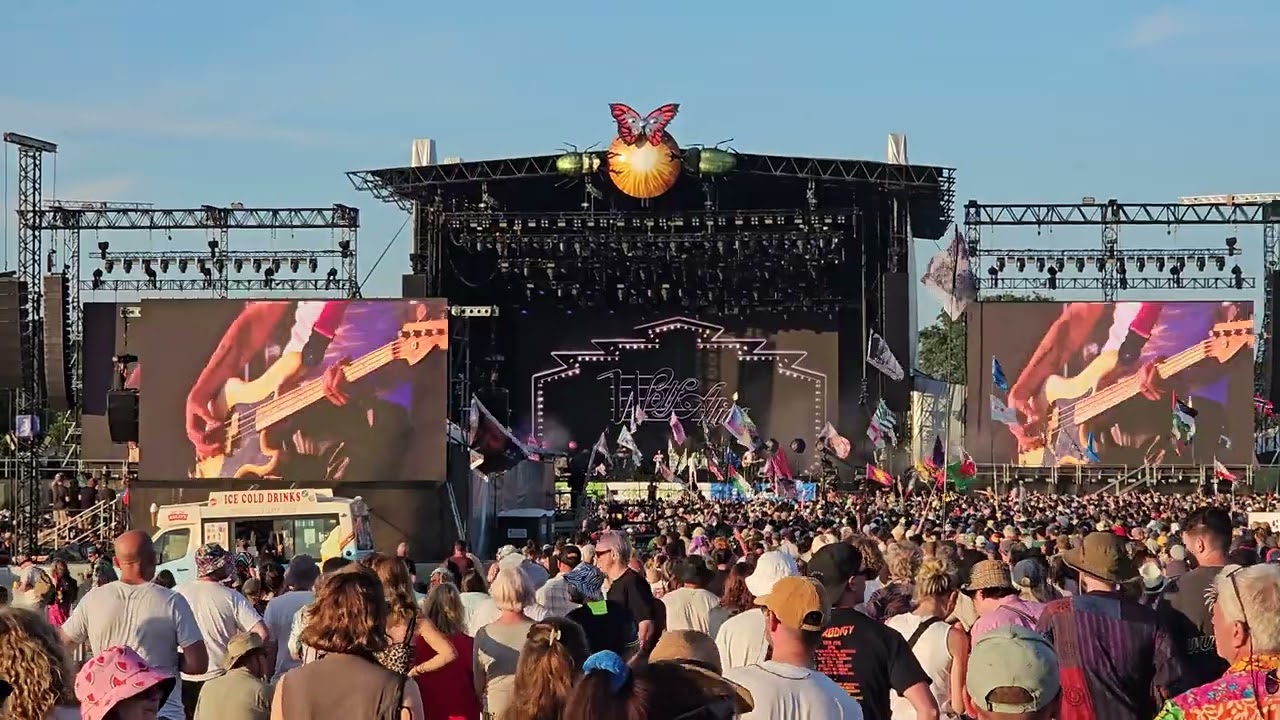 Wolf Alice 